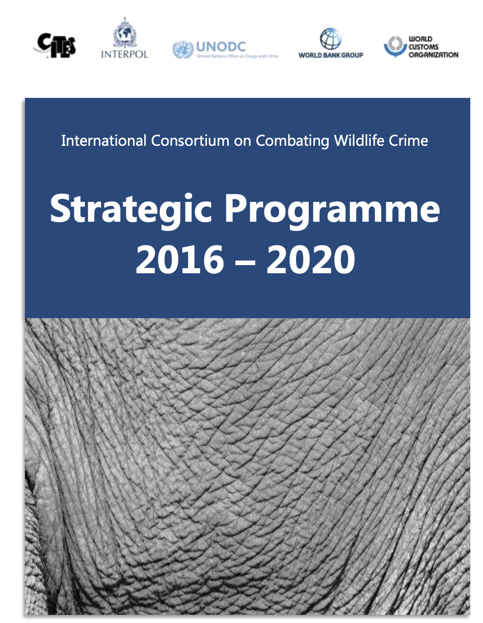 Strategic Programme 2016-2020.png 