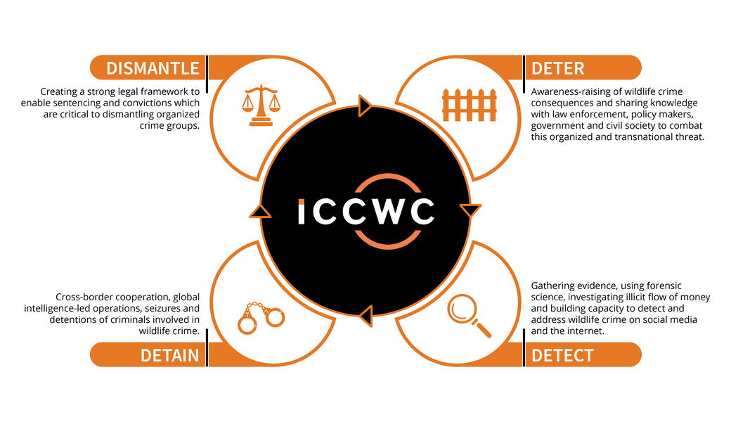  Name ICCWC Approach Infographic.jpg