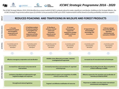 Strategic Programme