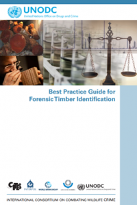 Forensic Timber