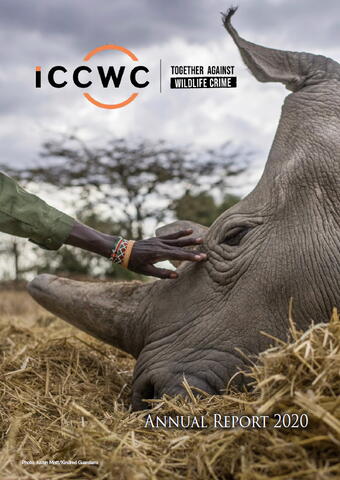 ICCWC 2020 report cover