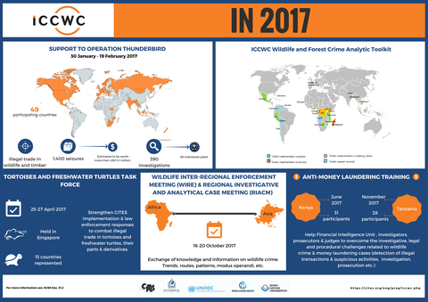 ICCWC in 2017