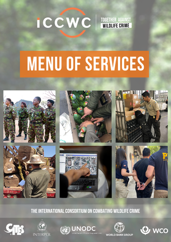 Menu of Services cover.png