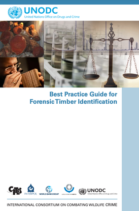 Forensic Timber Identification .png